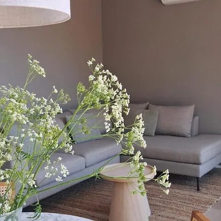 Beachvibe Met Zandtuin Vlakbij Zee Vp091 *