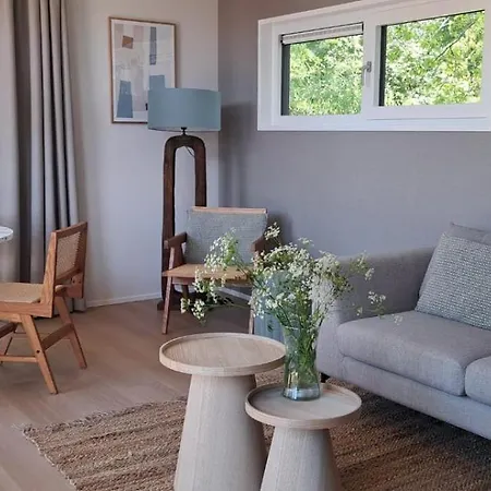 Holiday home Beachvibe Met Zandtuin Vlakbij Zee Vp091 Ouddorp