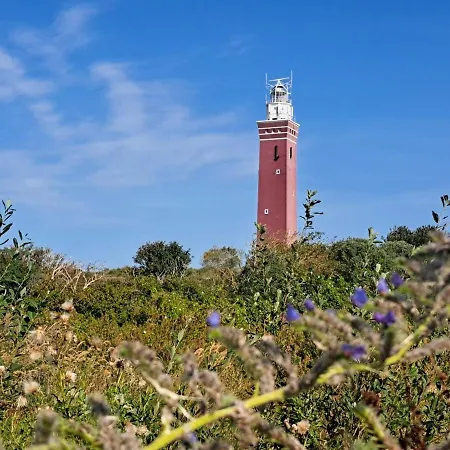 Beachvibe Met Zandtuin Vlakbij Zee Vp091 *