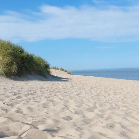 Holiday home Beachvibe Met Zandtuin Vlakbij Zee Vp091 Ouddorp