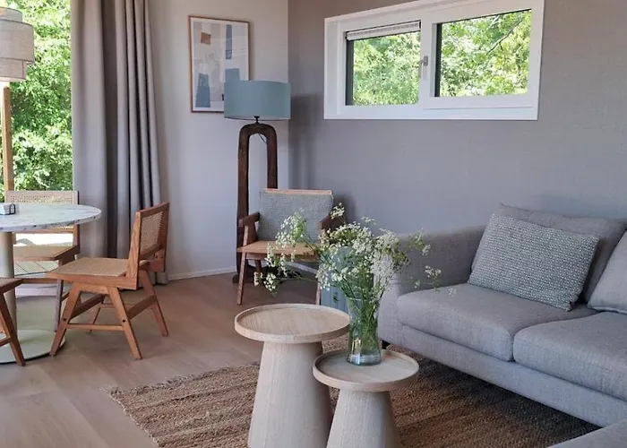 Vakantiehuis Beachvibe Met Zandtuin Vlakbij Zee Vp091 Ouddorp