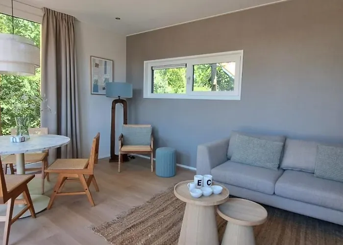 Vakantiehuis Beachvibe Met Zandtuin Vlakbij Zee Vp091 Ouddorp