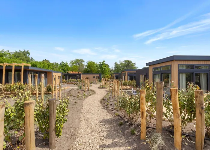 Vakantiehuis Beachvibe Met Zandtuin Vlakbij Zee Vp091 *