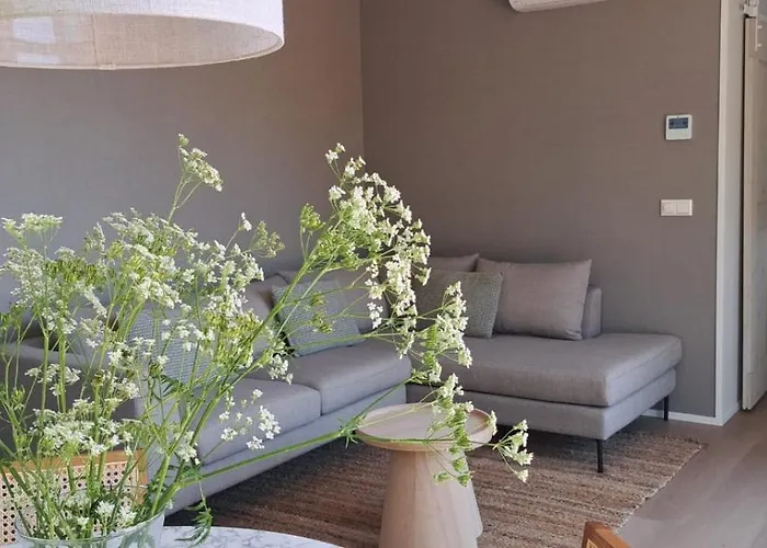 Beachvibe Met Zandtuin Vlakbij Zee Vp091 *