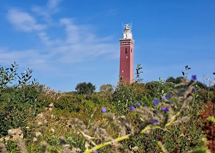 Beachvibe Met Zandtuin Vlakbij Zee Vp091 *