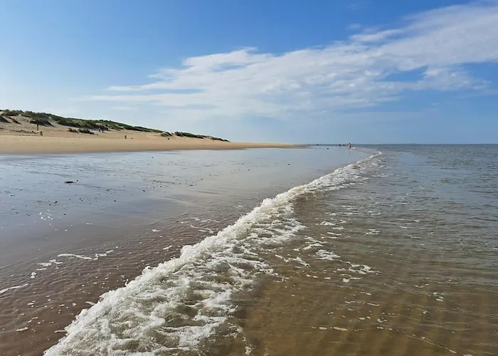 Beachvibe Met Zandtuin Vlakbij Zee Vp091 *